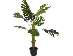 Artificial plant, Monstera...