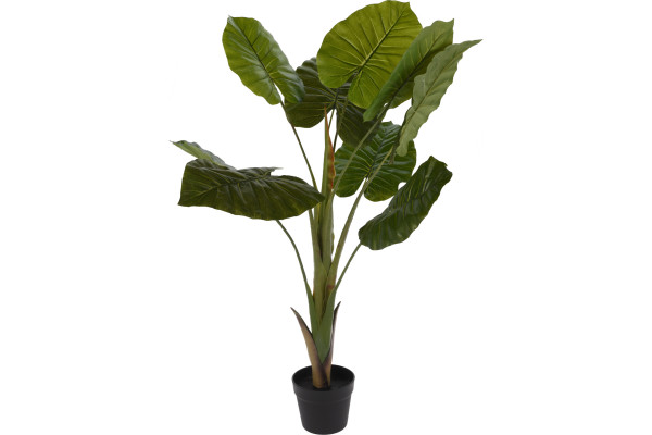 Artificial plant, Lyrata 110 cm