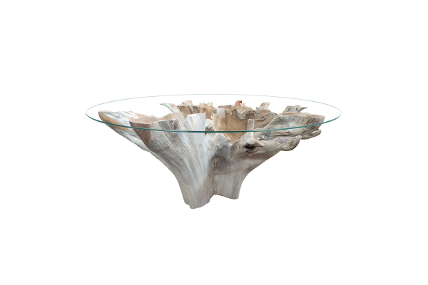 Teak Root table - 180 cm - with glass top