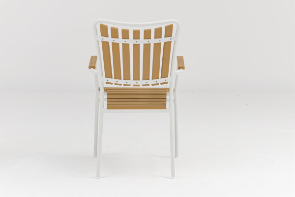 DaneLine Adam Stacking Chair - Nonwood - White