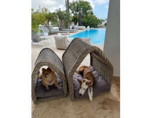 Pet House – Set 2