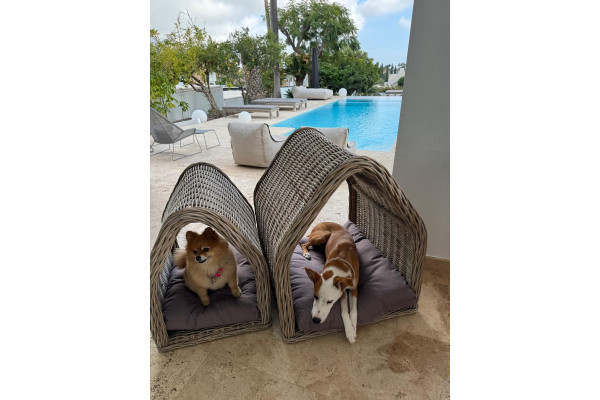 Pet House – Set
