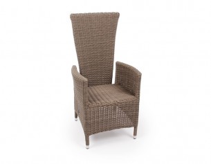 Paris Chair - DUSTY