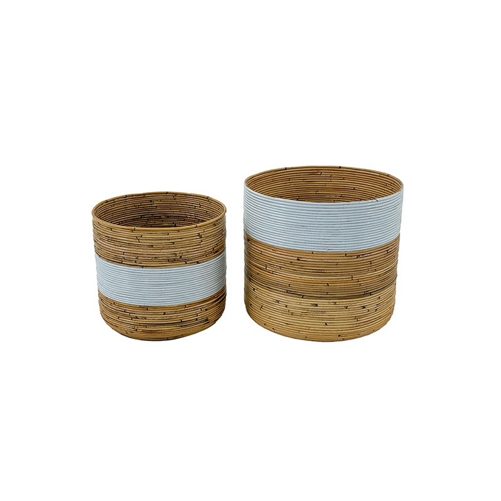 Citrus Basket – Size L