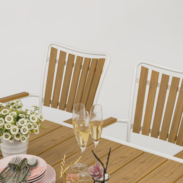 DaneLine Adam Furniture Set