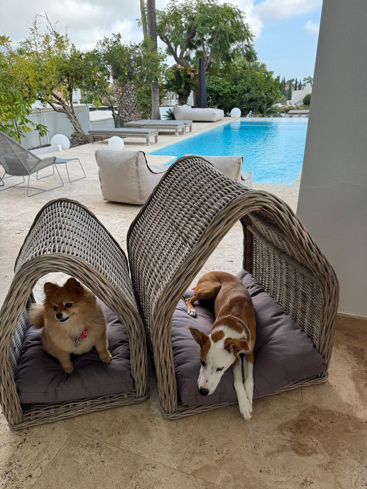 Pet House – Set